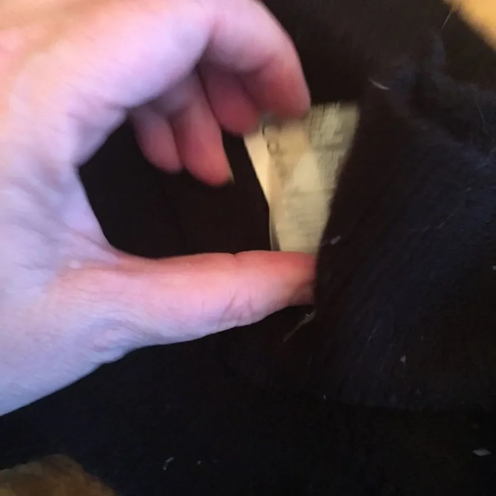 BLACK CALVIN Klein Circle Scarf!